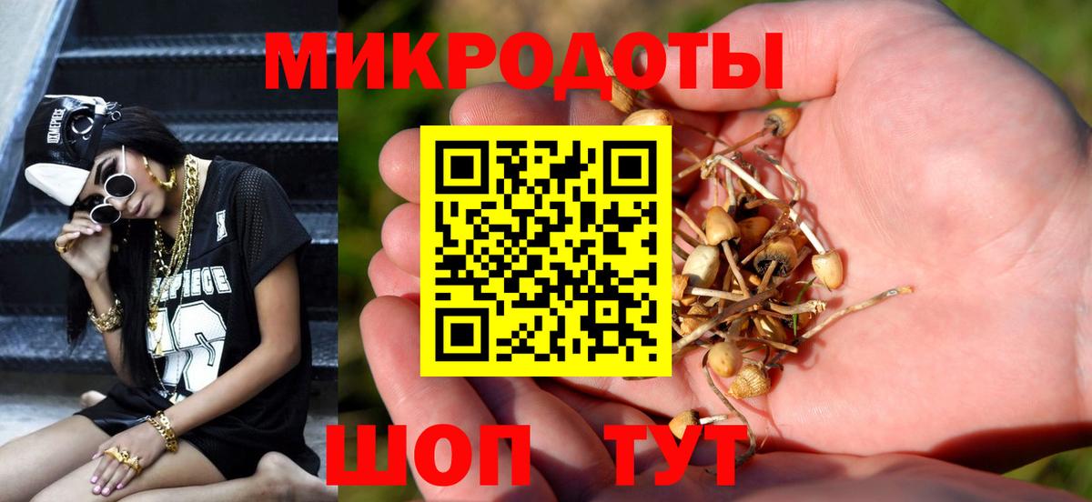 Псилоцибиновые грибы GOLDEN TEACHER Раменское
